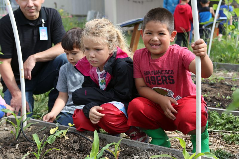 children with their garden project